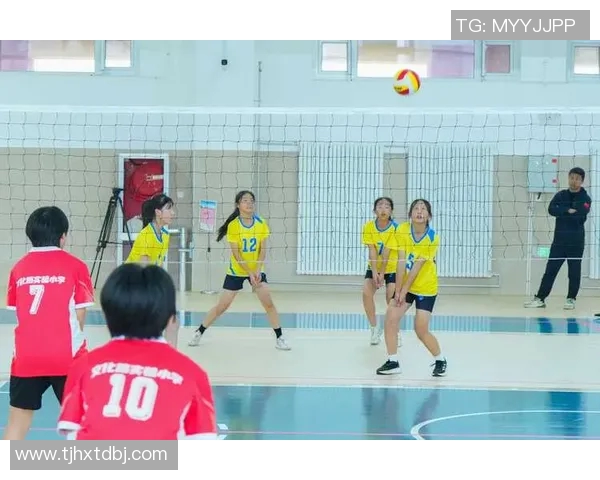 深圳排球队的崛起与发展探索展现排球运动的无限魅力与团队精神