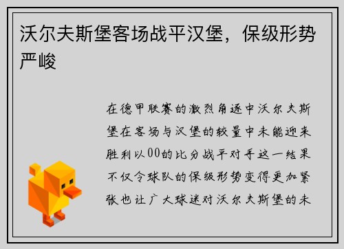 沃尔夫斯堡客场战平汉堡，保级形势严峻