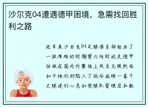沙尔克04遭遇德甲困境，急需找回胜利之路